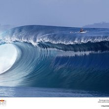 Foto: Stuart Gibson. &Aring;kare: Sean Woolnough.