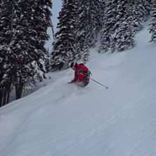 sk&ouml;n torr sn&ouml;.... Foto: Patric G Renstr&ouml;m. &Aring;kare: Stefan Vikberg.