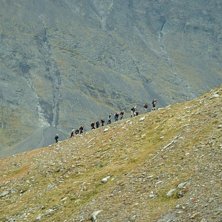 h&auml;r l&auml;mnar jag och Danne resten av gruppen f&ouml;r . Foto: Johanna L&ouml;fqvist. &Aring;kare: Friluftsgymnasiet &aring;rskurs 3 2005.