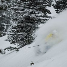 Foto: Daniel &aring;nskog. &Aring;kare: Nils Hallgren.