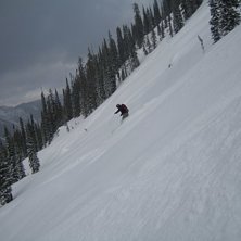 Sv&aring;rthittat, h&auml;rligt puder i British Colombia fe. Foto: Carl &Aring;str&ouml;m. &Aring;kare: Kristofer Karlsson.