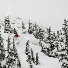 Galet bra dag i Rogers Pass med X antal nya centim. Foto: Oskar Wagrelius. &Aring;kare: Julia Levin.
