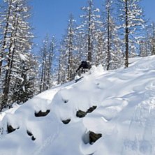 Foto: Jonas Erikson. &Aring;kare: Jakob J&auml;rnblad.
