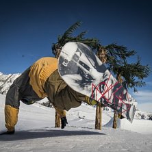 Palmbeachtabletop handdrag.... Foto: Martin Libeck. &Aring;kare: Kristjan &Aring;str&ouml;m.