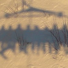 Mjauklubben i VM-8an. Foto: Johan Fahlgren.