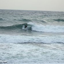 Tjohooo! 
Det hade bl&aring;st sydligt med kuling styr. Foto: August Moberg. &Aring;kare: Axel Moberg.