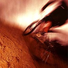 Foto: Therese Lundgren. &Aring;kare: Gareth Dyer.