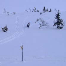 Foto: H&aring;kan. &Aring;kare: Anton Welin.