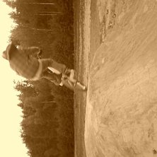 Foto: marcus nordin. &Aring;kare: william &ouml;stensson.