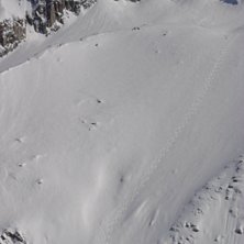 Efter ett stort sn&ouml;fall hade dessa puderj&auml;garna . Foto: Jonas Bj&ouml;rklund. &Aring;kare: Ok&auml;nt.