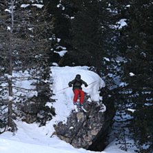 ja woll . Foto: Alexander linder. &Aring;kare: Don jacob svennnarp.
