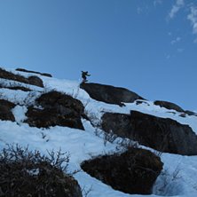 Foto: Fredrik Sidev&auml;rn. &Aring;kare: Sj&ouml;ssa.