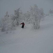Foto: Ludvig Hult. &Aring;kare: Daniel Larsson.