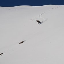 Foto: Gustav Ohlsson. &Aring;kare: Gustav Janeling.