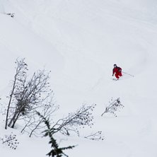Karl l&auml;gger en av m&aring;nga pudersv&auml;ngar i Rogers.. Foto: Emil Rydell. &Aring;kare: Karl Norling.