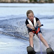Sk&ouml;na sv&auml;ngar. Foto: Petteri Koste. &Aring;kare: Julius K.