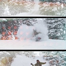 O&acute; Trees. Foto: Croshane. &Aring;kare: Jag.