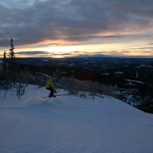 Foto: Oscar. &Aring;kare: Malin Hansen.