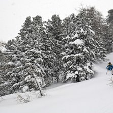 Foto: Mikael Sj&ouml;strand. &Aring;kare: Per Rudhag.