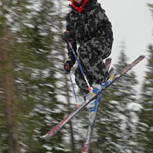 f&ouml;rra &aring;ret.. &amp;quot;lins-lus&amp;quot;. Foto: Mascot. &Aring;kare: Erik Kikajon.