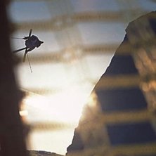 Foto: Magnus Th&ouml;rewik. &Aring;kare: Simon Dumont.