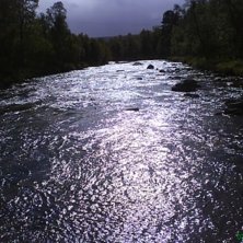 Plats av fridfullhet..... Foto: Johan Engelmark.