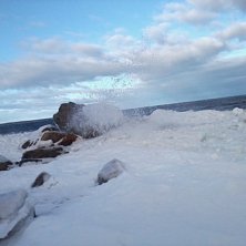 Foto: ian Archibald.