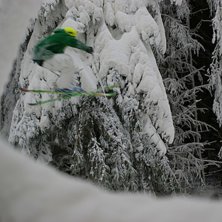 Foto: Felix Norgren. &Aring;kare: Emil Jonsson.