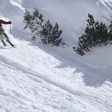 Foto: Joakim Samuelsson. &Aring;kare: H&aring;kan Dahl.