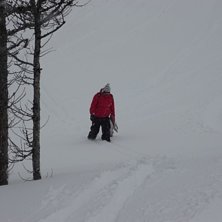 Awesome powder day to start the trip to Banff. Foto: Jamie Hunter. &Aring;kare: George Beaton.