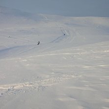 Foto: Carolin. &Aring;kare: Stefan Hellberg &amp;amp; &Auml;ngelholm Fredde.