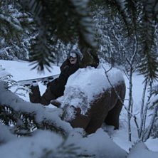 bj&ouml;rnkram. Foto: Hilla Aspman. &Aring;kare: Kattis Persson.