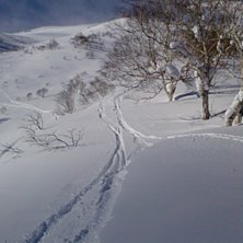 F&ouml;rsta sp&aring;ren. Foto: Anna Lingvall.