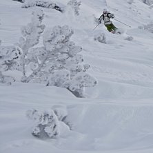 Foto: Felix Grunert. &Aring;kare: Patrik Hammarlund.