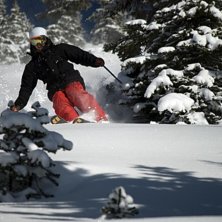 Robin flyter... Foto: Ludwig Andersson. &Aring;kare: Robin Sandberg.
