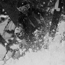 Fin close-up zoomet inn p&aring; en pillow.. Foto: Simen Sundt. &Aring;kare: Klas Wennersten.