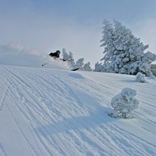 Foto: Felix Grunert. &Aring;kare: Rikard Lindblad.