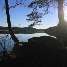 Solen sken och alla var glada? Utom f&aring;gel f&ouml;r ha. Foto: Viktor &Aring;sander. &Aring;kare: ingen.