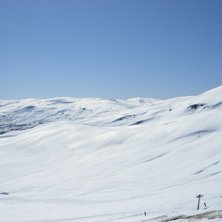 Foto: Niklas Blomstedt.