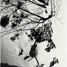 Foto: Tomek Gola. &Aring;kare: Szczepan Karpiel.