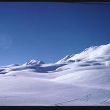 Foto: Stefan Forsell.