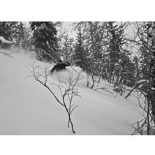 Underbar sv&auml;ng!

Kunde inte best&auml;mma mig f&ouml;r . Foto: Viktor Leandersson. &Aring;kare: Viktor M&aring;nsson (jag).