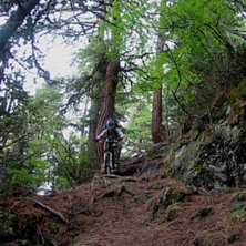 Fint som fasen i skogen. Och brant. Och mycket r&ouml;. Foto: arska saarim&auml;ki. &Aring;kare: jonas sundstedt.
