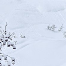 Foto: Felix Grunert. &Aring;kare: Rikard Lindblad.