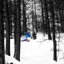 Foto: Magnus Kring. &Aring;kare: M&aring;rten &Aring;gren.