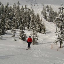 H&auml;rlig dag i Trysil. Foto: L-G Johansson. &Aring;kare: Martin Sundvall.