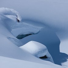 Foto: Anders &Ouml;dman. &Aring;kare: Christoffer Granbom.