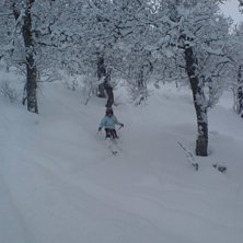 skogen &auml;r kul f&ouml;r alla barn.. Foto: Gert Anderzen. &Aring;kare: Johanna Anderz&eacute;n.