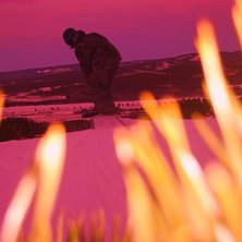 boxar lite med ett fin ljus. Foto: nisse. &Aring;kare: GOLIAT.