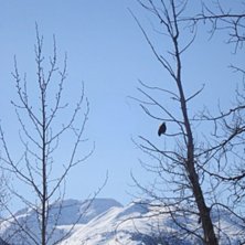 Foto: Sebastian Garhammer och Jon Larsson.